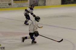 Dateiname=20220218_04_Kitz_KU_429_EHC_0536.jpg
Dateigröße=80KB
Abmessungen: 1000x667
hinzugefügt am: 24. Februar 2022 20220218_04_Kitz_KU_429_EHC_0536.jpg