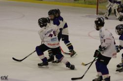 Dateiname=20220218_04_Kitz_KU_438_EHC_0547.jpg
Dateigröße=103KB
Abmessungen: 1000x667
hinzugefügt am: 24. Februar 2022 20220218_04_Kitz_KU_438_EHC_0547.jpg