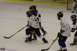 Dateiname=20220218_04_Kitz_KU_439_EHC_0548.jpg
Dateigröße=100KB
Abmessungen: 1000x667
hinzugefügt am: 24. Februar 2022 20220218_04_Kitz_KU_439_EHC_0548.jpg