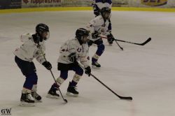 Dateiname=20220218_04_Kitz_KU_456_EHC_0569.jpg
Dateigröße=101KB
Abmessungen: 1000x667
hinzugefügt am: 24. Februar 2022 20220218_04_Kitz_KU_456_EHC_0569.jpg