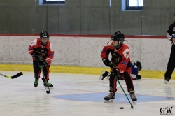 Dateiname=20231209_kitz_015_CR7_0195.jpg
Dateigröße=394KB
Abmessungen: 1000x667
hinzugefügt am: 10. Dezember 2023 20231209_kitz_015_CR7_0195.jpg