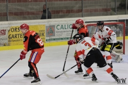 Dateiname=20240210_1_148_CR7_0735.jpg
Dateigröße=490KB
Abmessungen: 1000x667
hinzugefügt am: 11. Februar 2024 20240210_1_148_CR7_0735.jpg